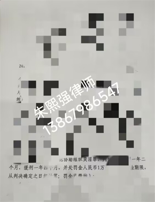 谭某某协助组织卖淫案：缓刑辩护